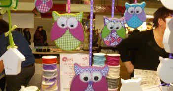Verrassend veel en bijzondere hobby’s tijdens Hobbybeurs in Leek