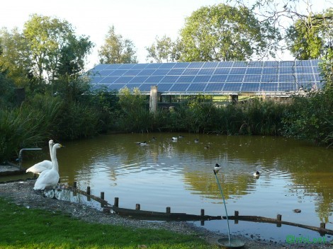 SLIM zonnepanelen op carport