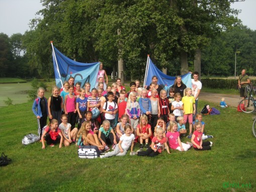 Groep bosspelletjes