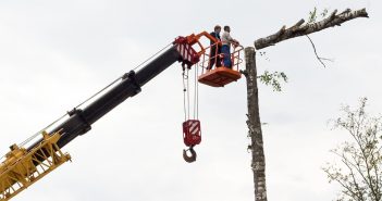 Groenwerkzaamheden gemeente Leek, 79 bomen plat