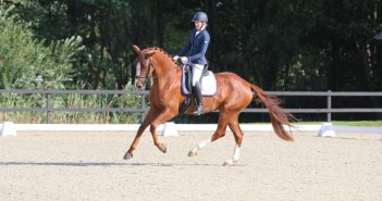 Subsidie Regio Groningen-Assen zet stichting Westerkwartier Paardenkwartier stevig in het zadel