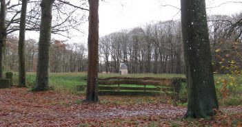 Excursie in het Natuurschoonbos bij Nietap