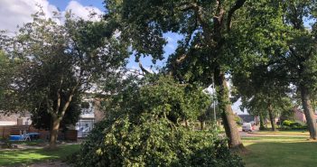 Zomerstorm slaat toe; boomtop belandt midden op Van Panhuyslaan