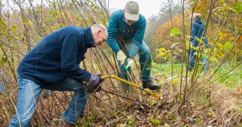 Vrijwilligers zetten zich in op de Natuurwerkdag