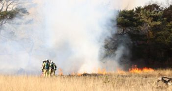 Grote natuurbrand in het Mensingebos bij Roden; NL-Alert verzonden (UPDATE)