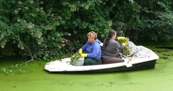 Bewoners Tolbert ondernemen actie tegen moerasplant ‘Grote Waternavel’ in de Tolbertervaart