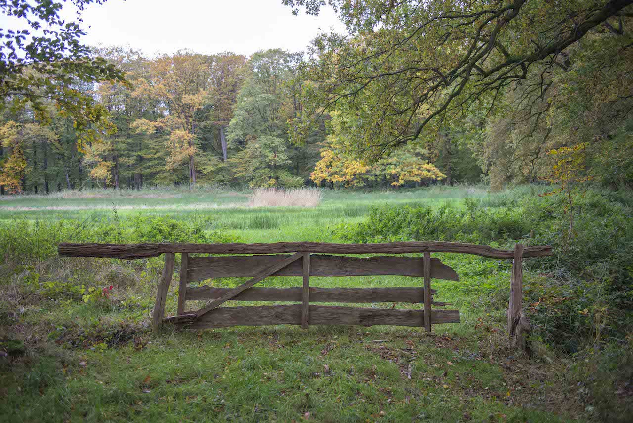 Eerst buien, later zachter tijdens herfstvakantie regio Noord