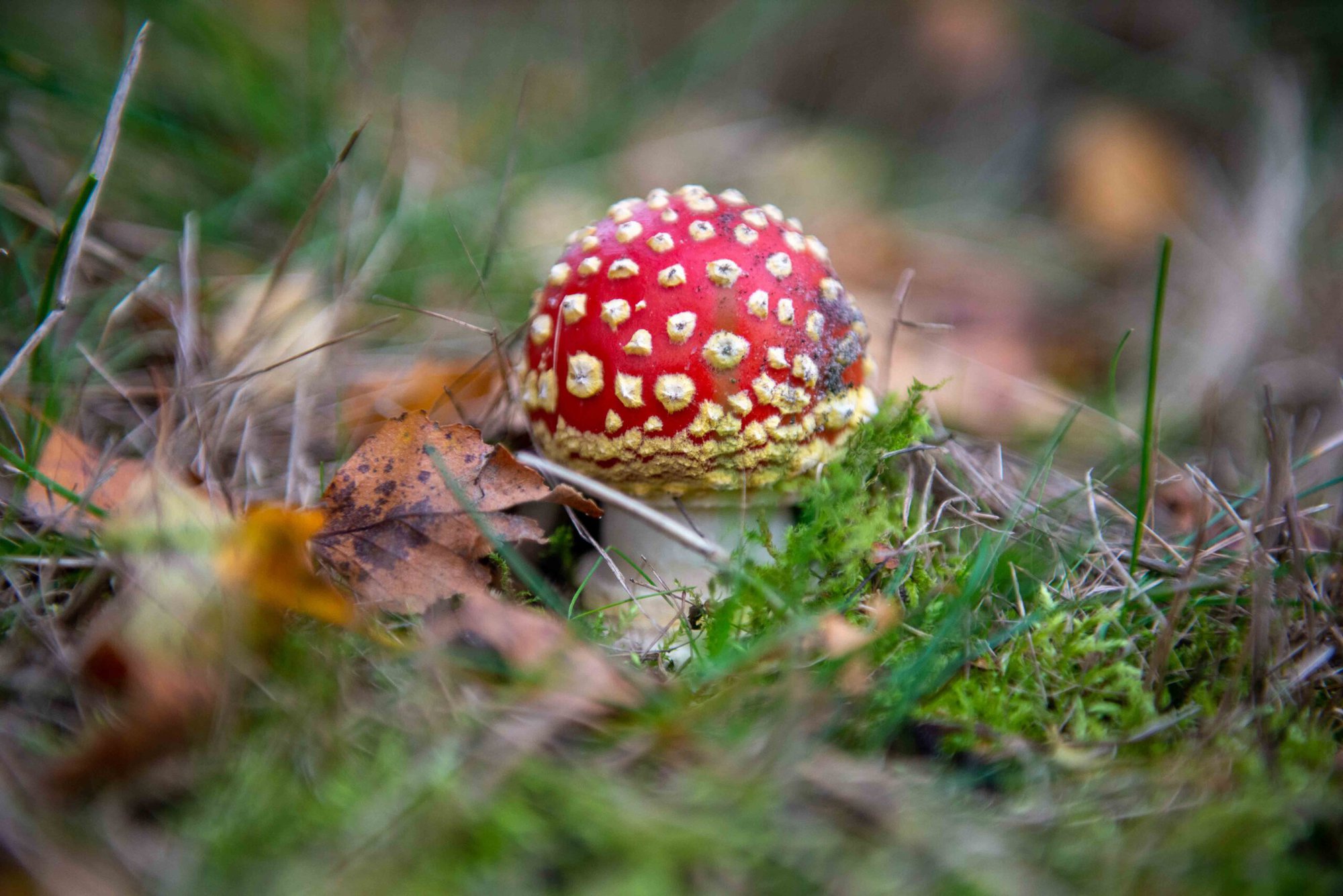 Weekverwachting: zeer zacht, later flink kouder