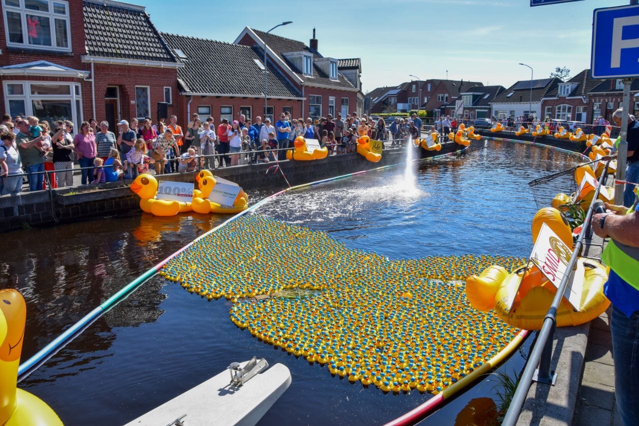 Lions Club houdt voor de derde keer Badeendenrace in Leek voor lokale goede doelen