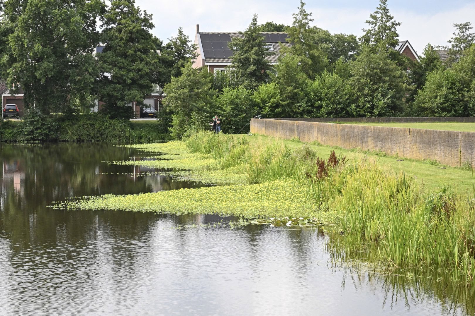 Provincie, waterschappen en gemeenten vragen inwoners alert te zijn voor 'Grote waternavel'