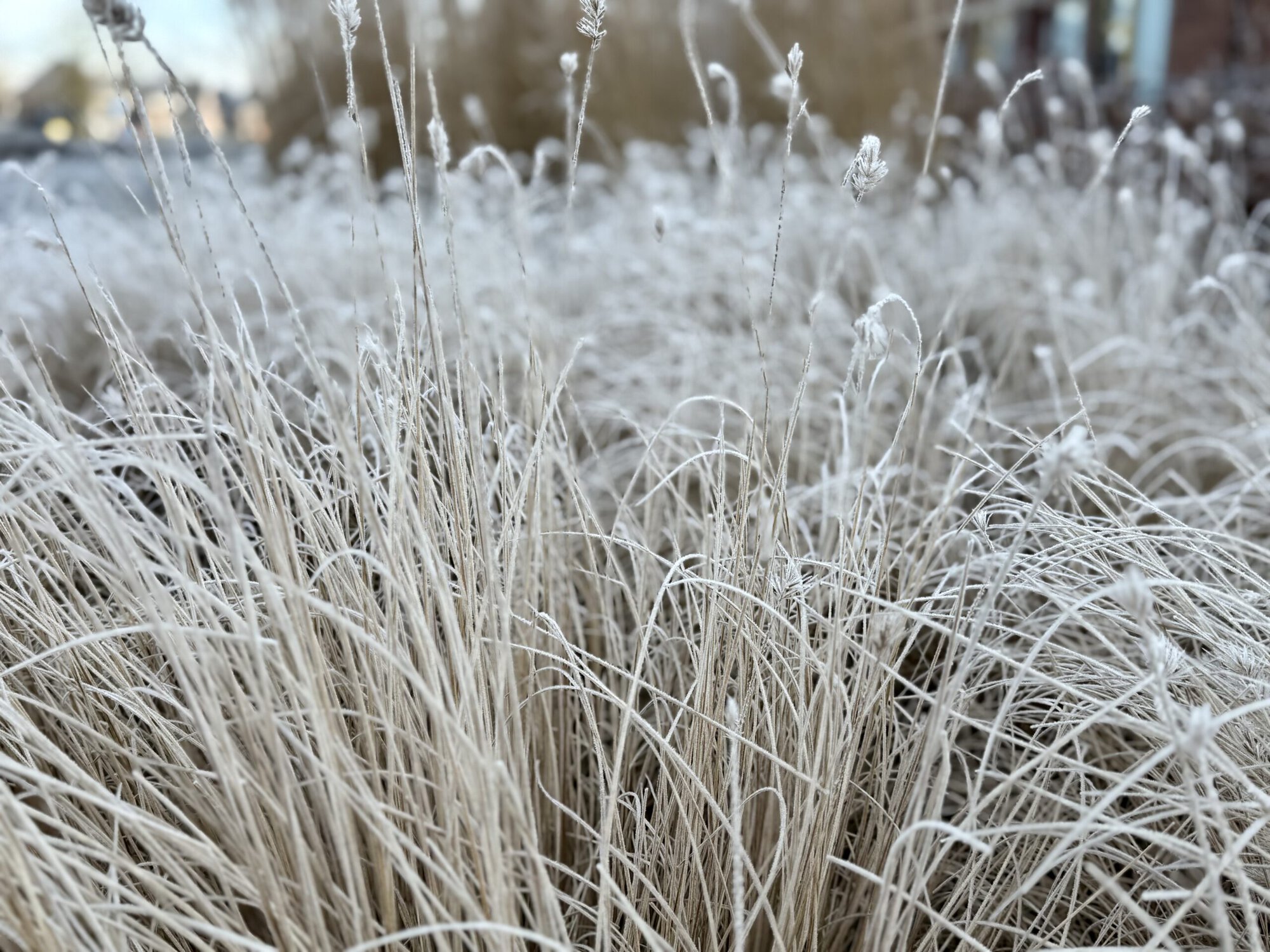 Zomertijd begint, maar van zomers weer is voorlopig geen sprake