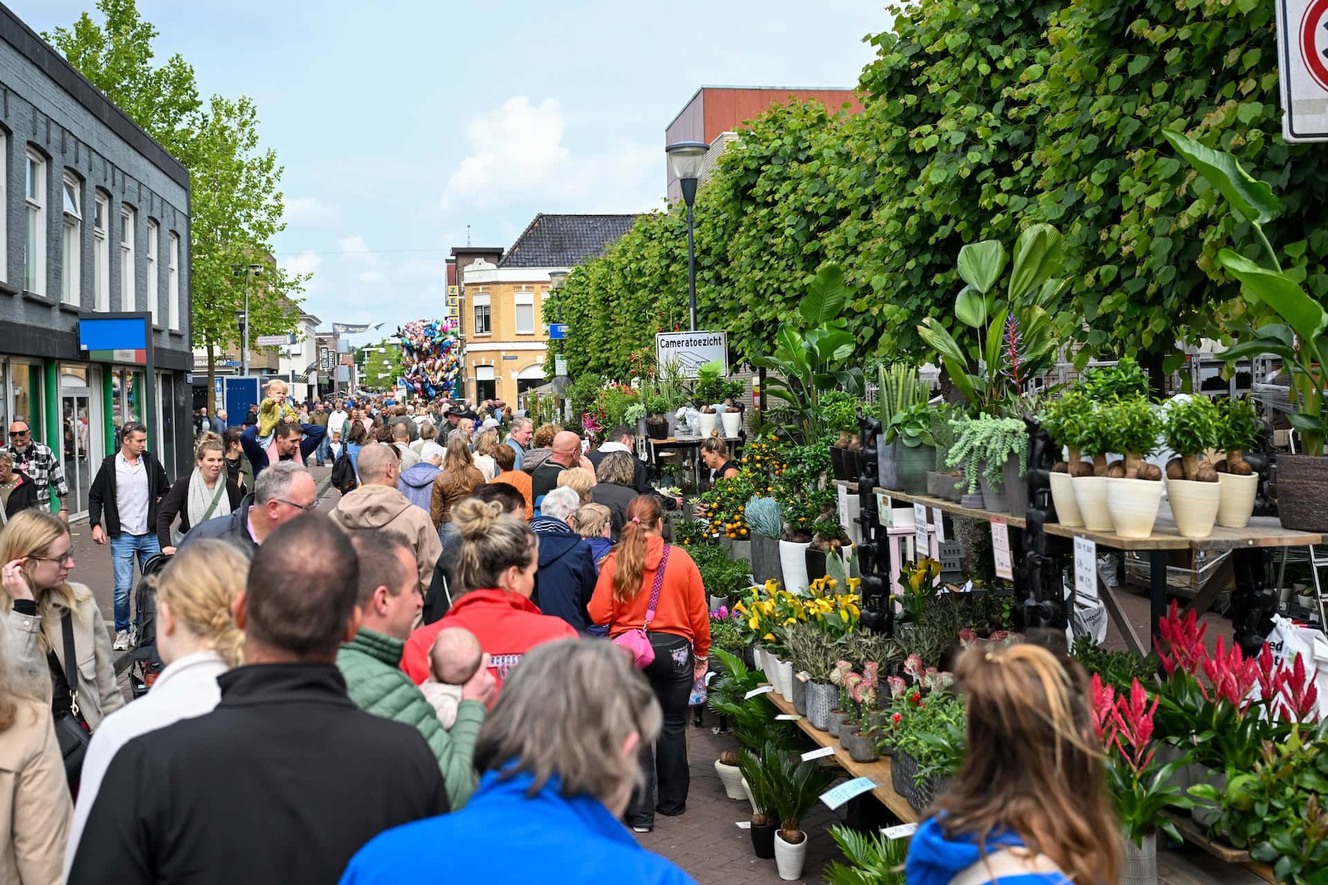 Pinkstermarkt Leek druk bezocht, nog open tot 18.00 uur vandaag