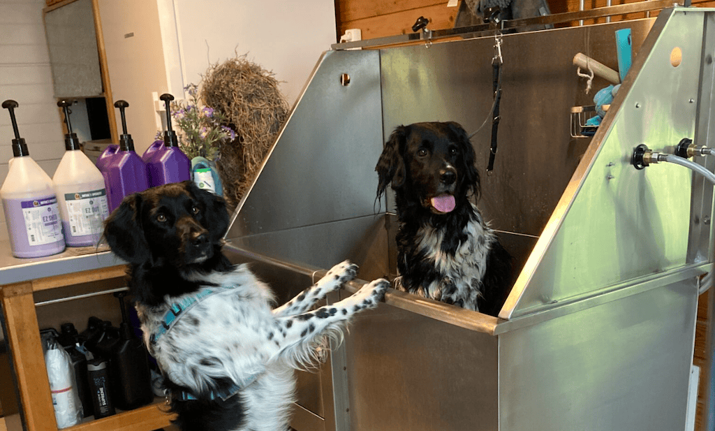 Trimsalon Banjer&Co verhuist van Tolbert naar Leek