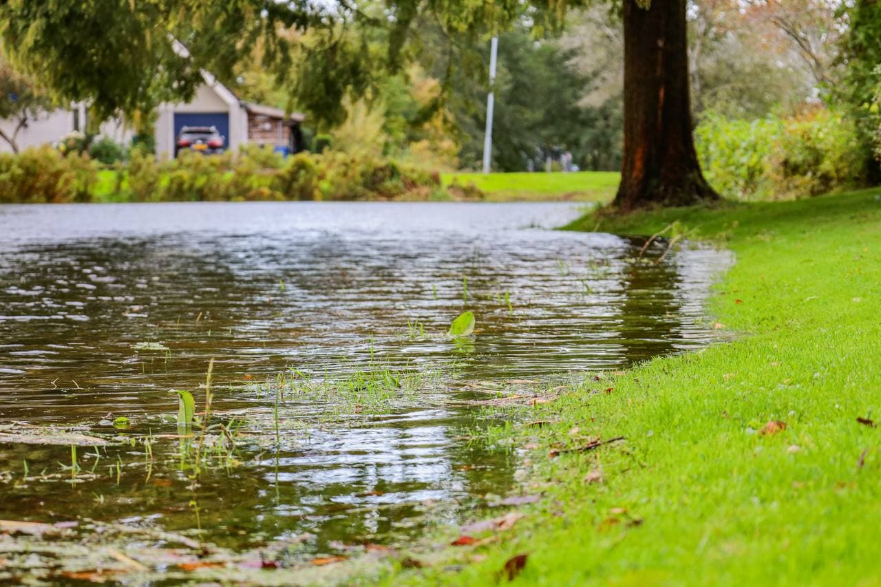 Vijver achter De Beelen in Tolbert overstroomt na hevige regen