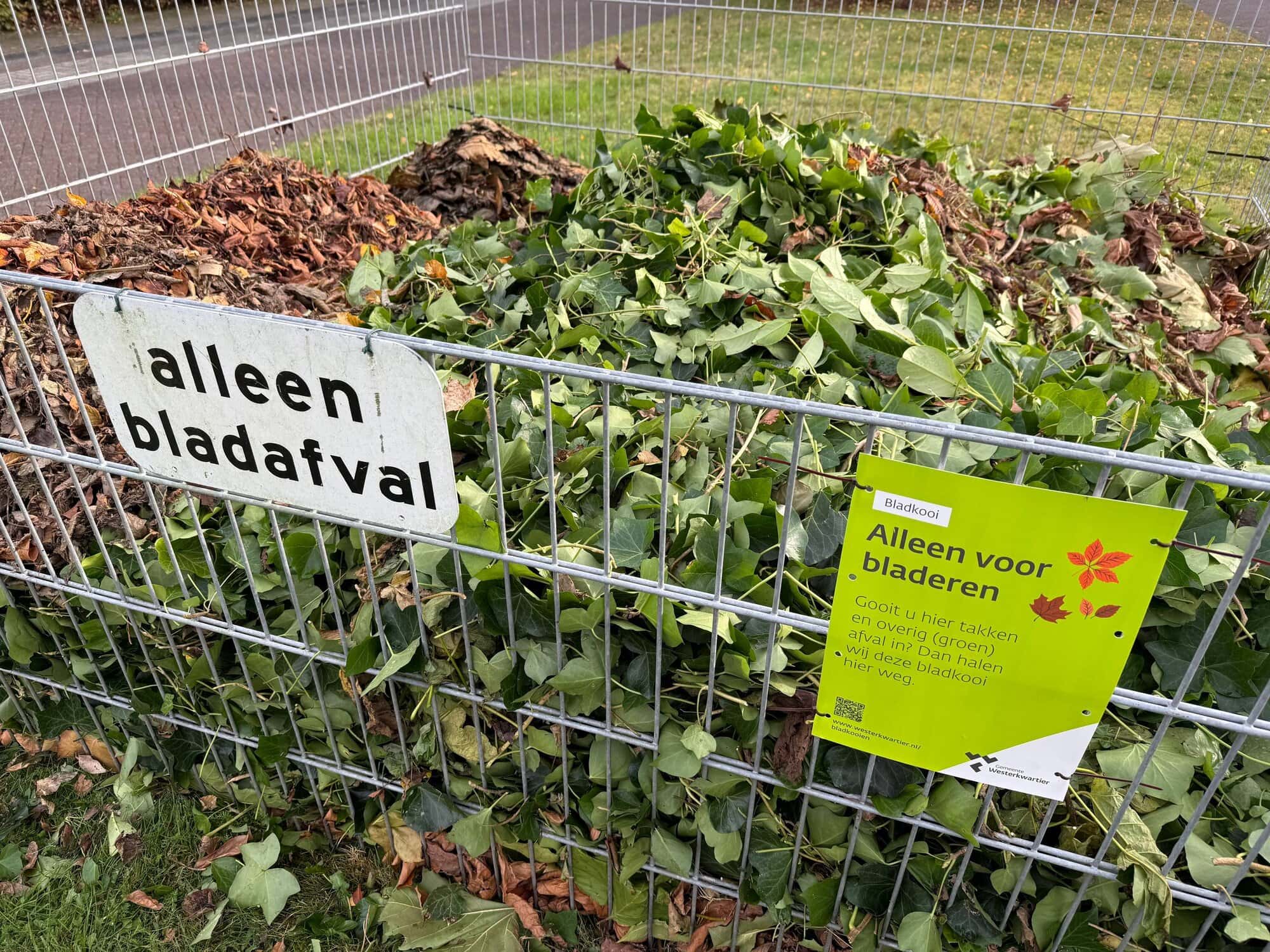 Gemeente plaatst 300 bladkooien: blad inzamelen tot week 51