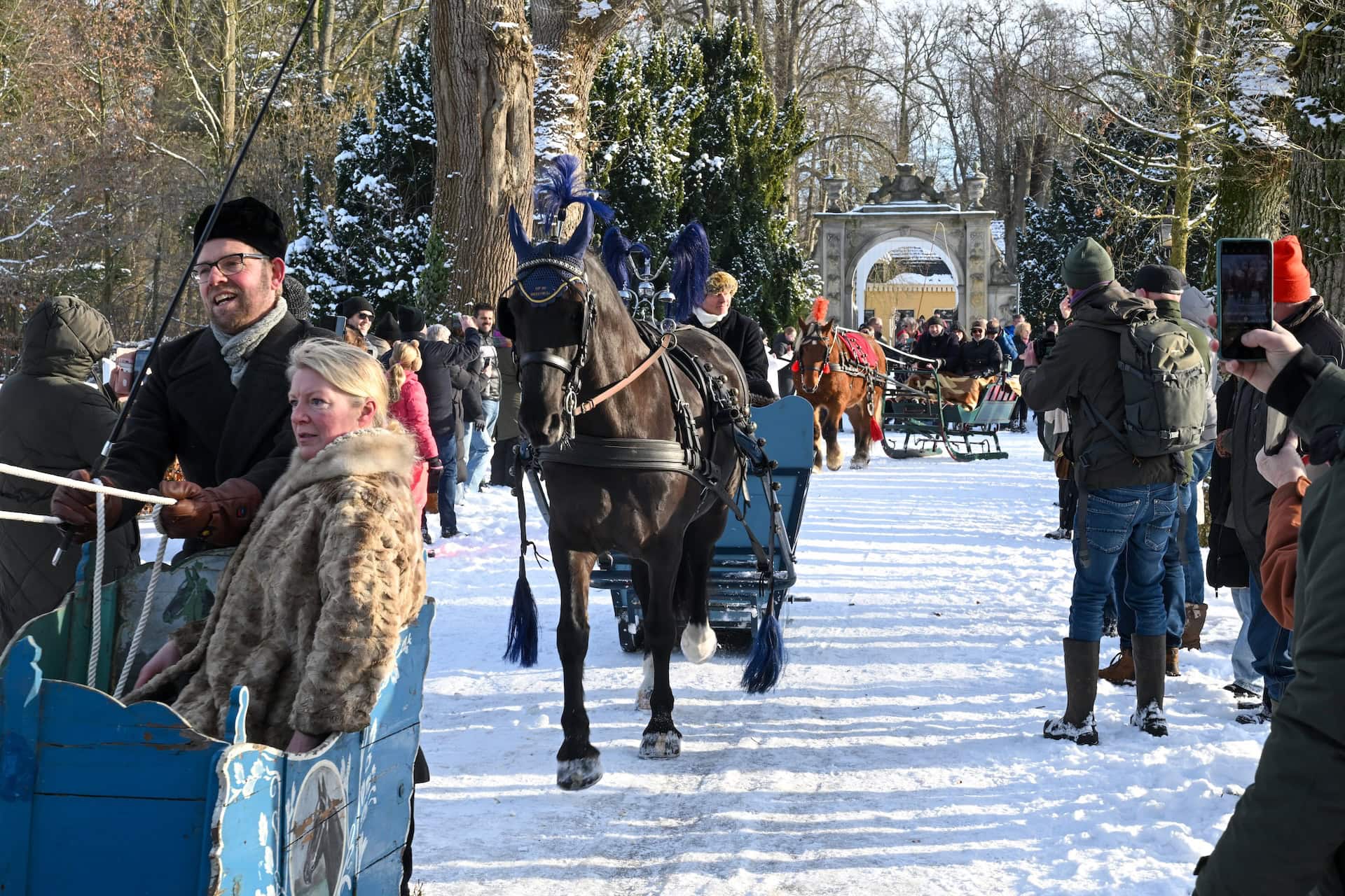 Zeldzame sledentocht met aangespannen paarden tijdens stralende winterochtend op Landgoed Nienoord (