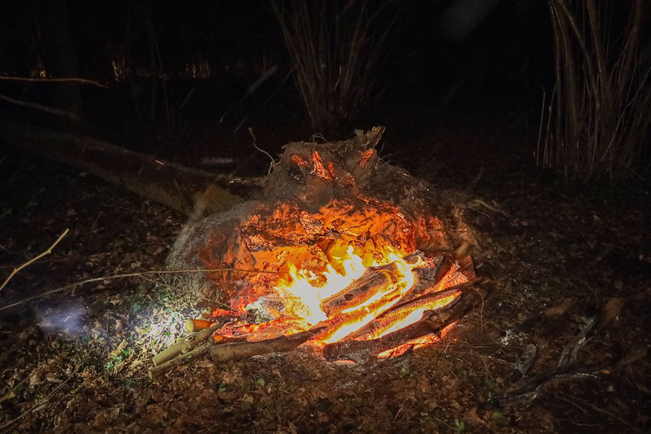 Brandweer Leek blust buitenbrand in bos Nienoord