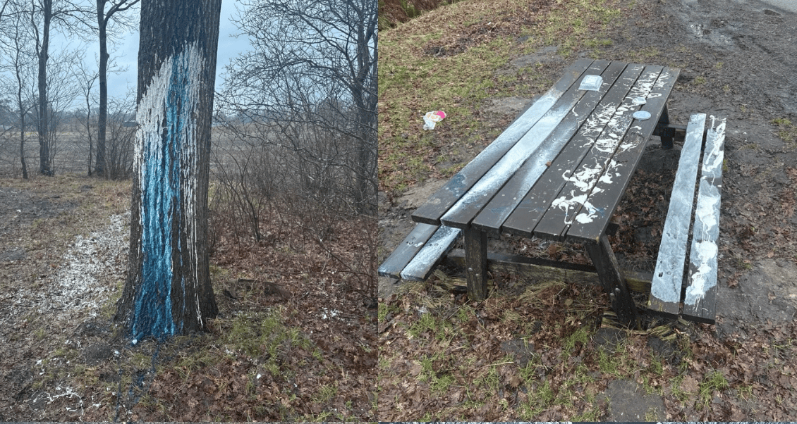 Vernieling in Niebert: picknickbank en boom beklad in nacht van 27 op 28 februari