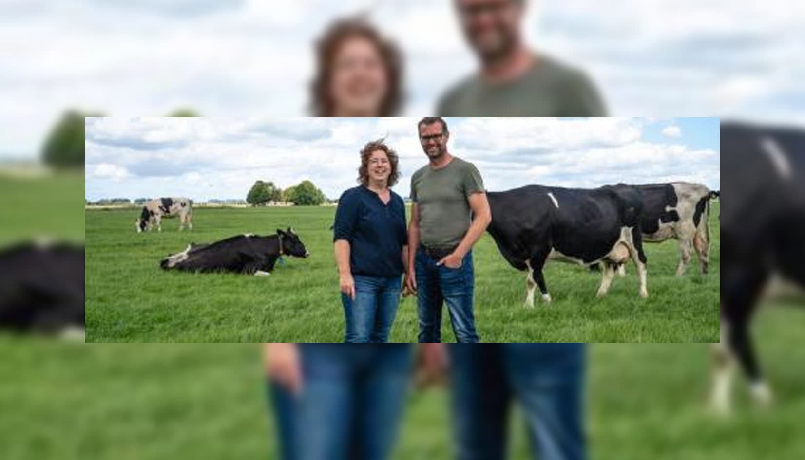 Melkveebedrijf ‘De Hoogte’ in Zuidhorn opent deuren tijdens Campina Open Boerderijdagen