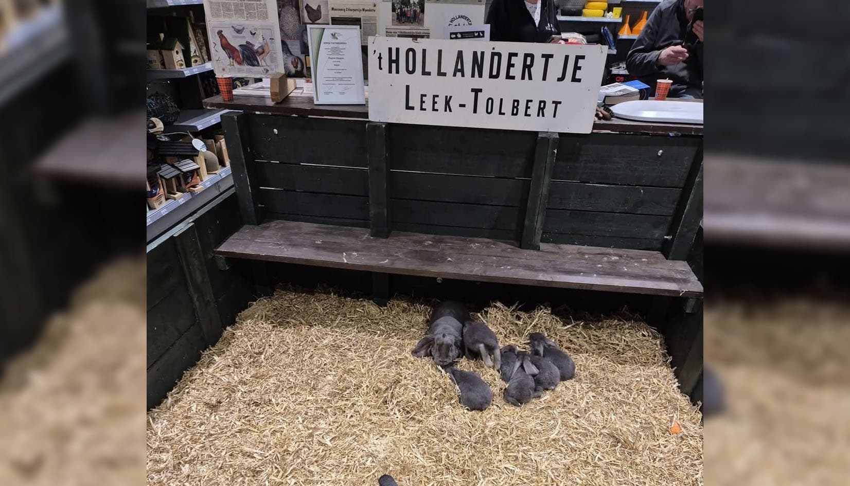 Hemelvaartsdag bij de Welkoop: ’t Hollandertje verwelkomt dierenliefhebbers