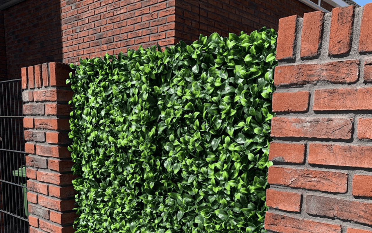 Zo creëer je een groene tuin met weinig onderhoud