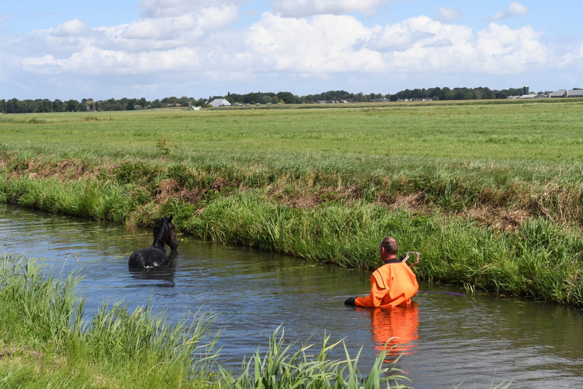 Brandweer redt paard uit sloot langs Mensumaweg in Tolbert