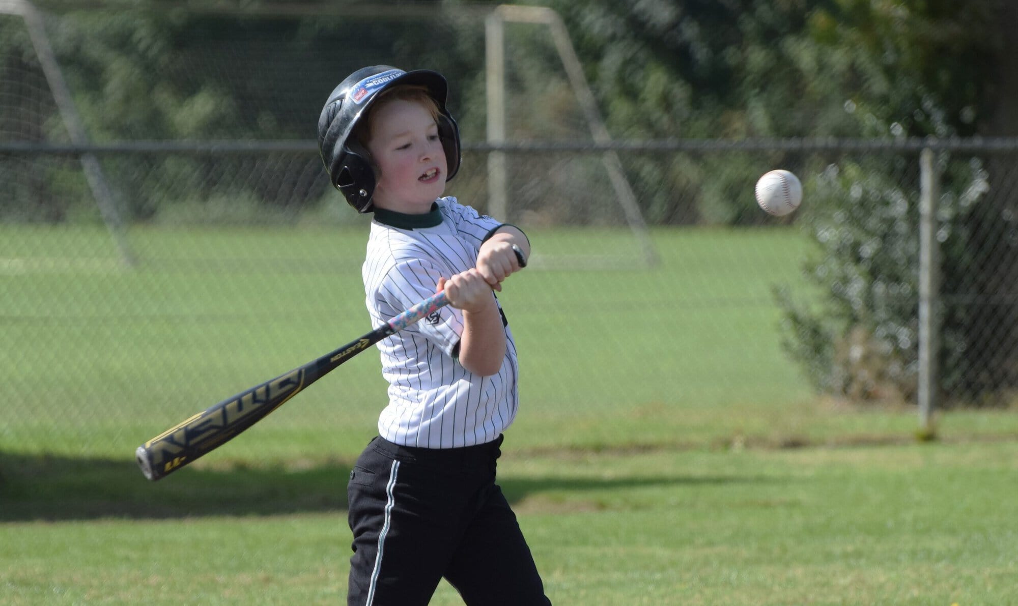 BSC Knights brengt pupillenhonkbal terug naar Leek